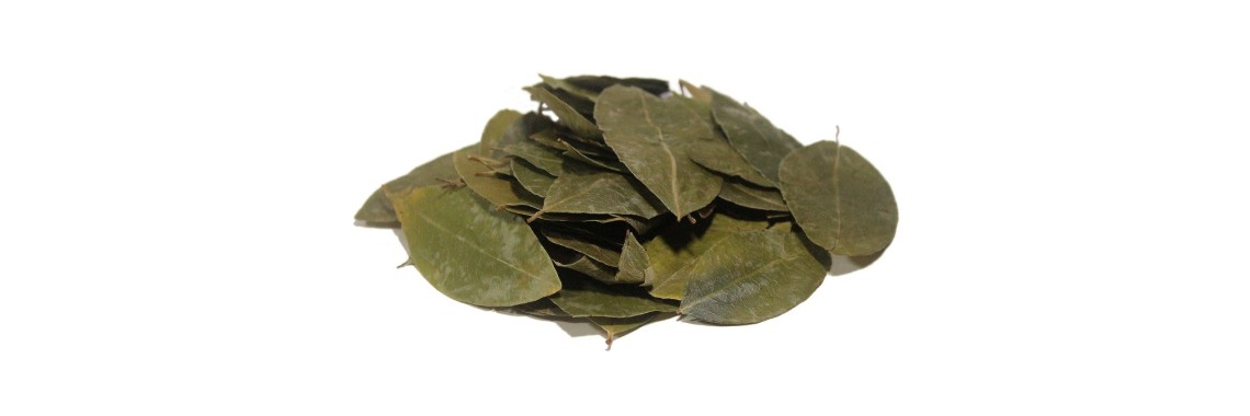 coca leaves