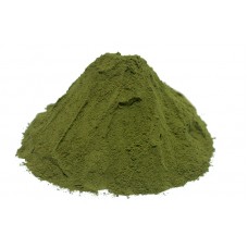 Herbal Green Tea powder Bulk  