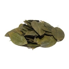 Coca leaves 